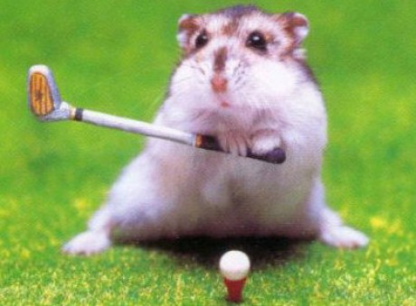 hamster_golf.jpg